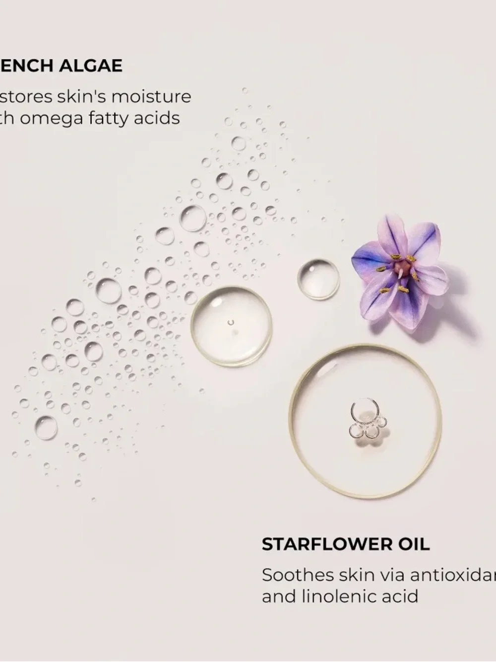 Laura Mercier Neroli Du Sud Serum Body Cream - NIB 🪻